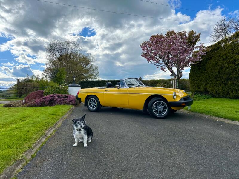 MG MGB