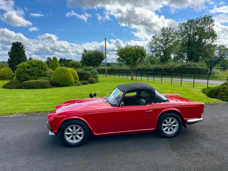 TRIUMPH TR4