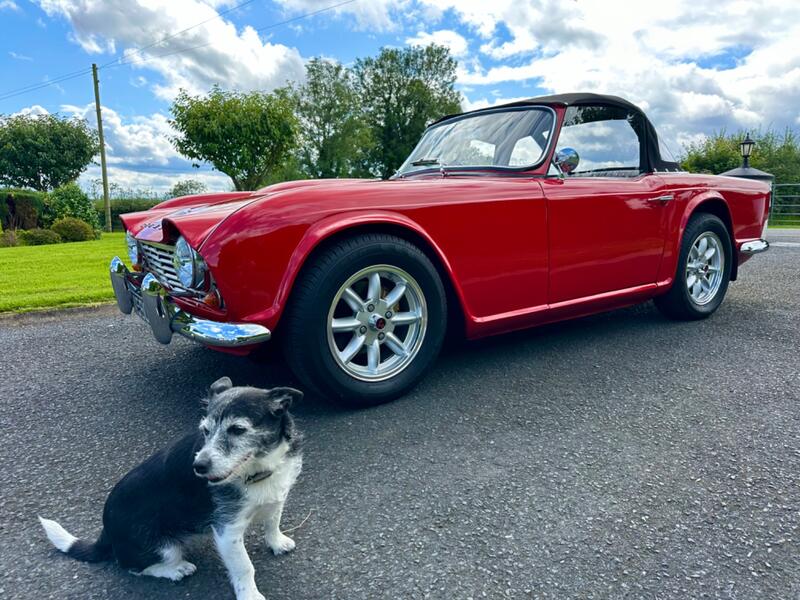 TRIUMPH TR4