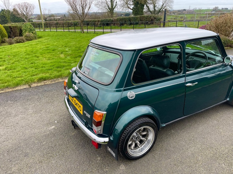 ROVER MINI