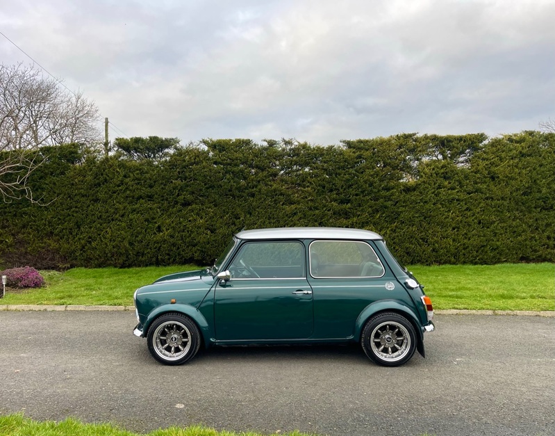 ROVER MINI