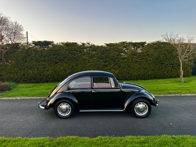 VOLKSWAGEN BEETLE