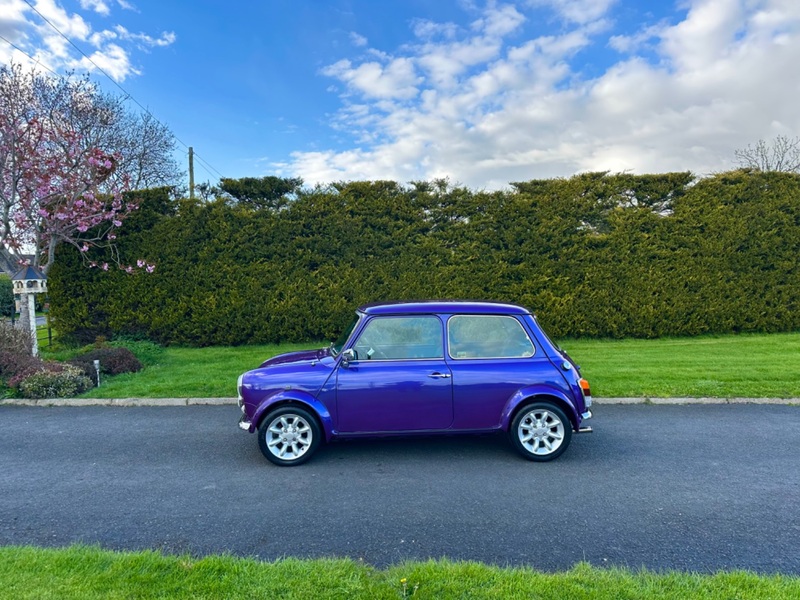 ROVER MINI