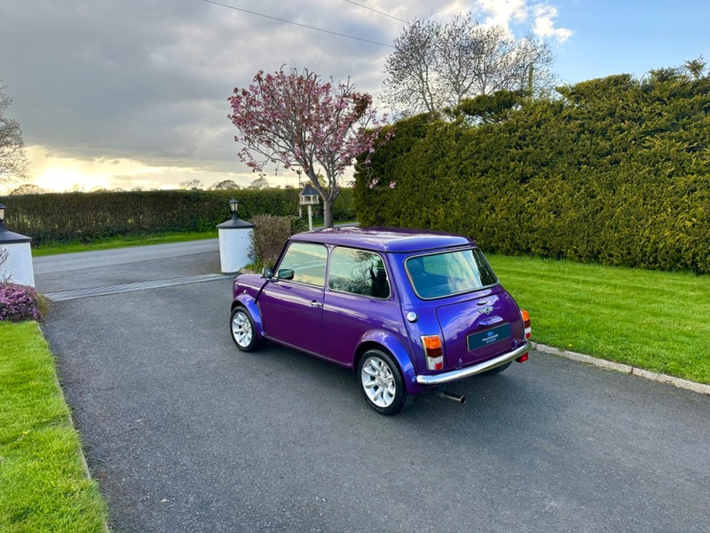 ROVER MINI