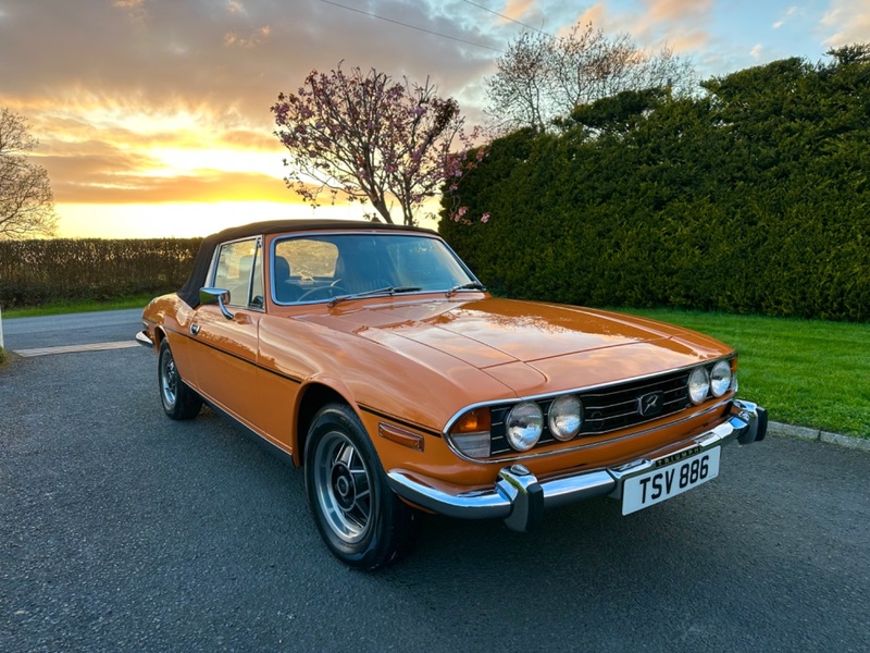 TRIUMPH STAG