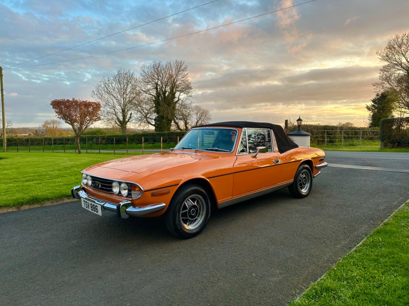 TRIUMPH STAG