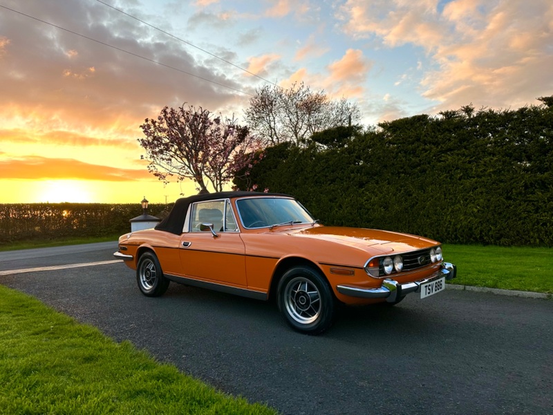 TRIUMPH STAG