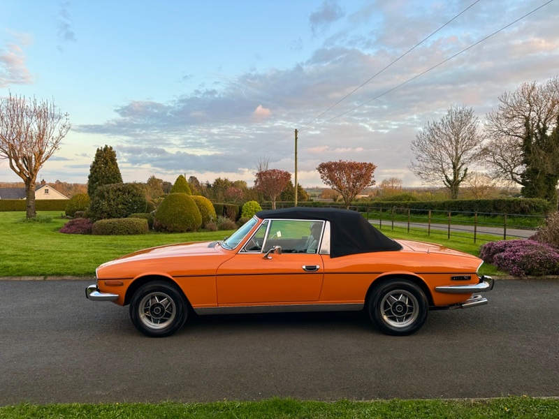 TRIUMPH STAG