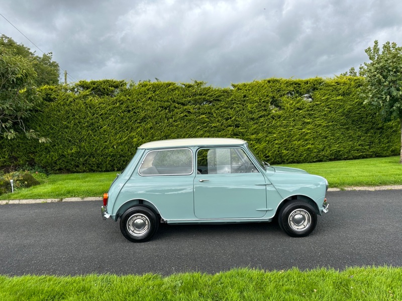 AUSTIN MINI