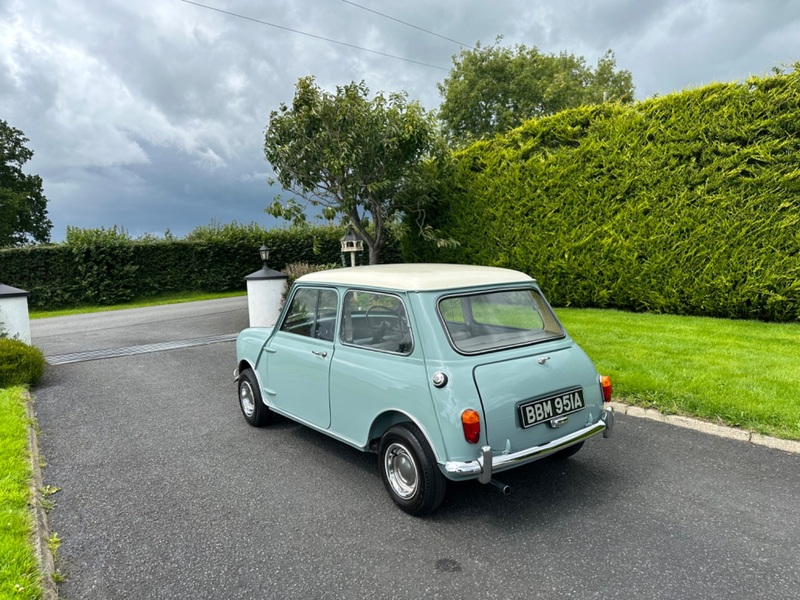 AUSTIN MINI