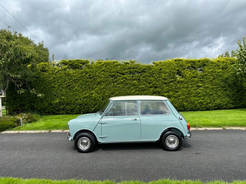 AUSTIN MINI